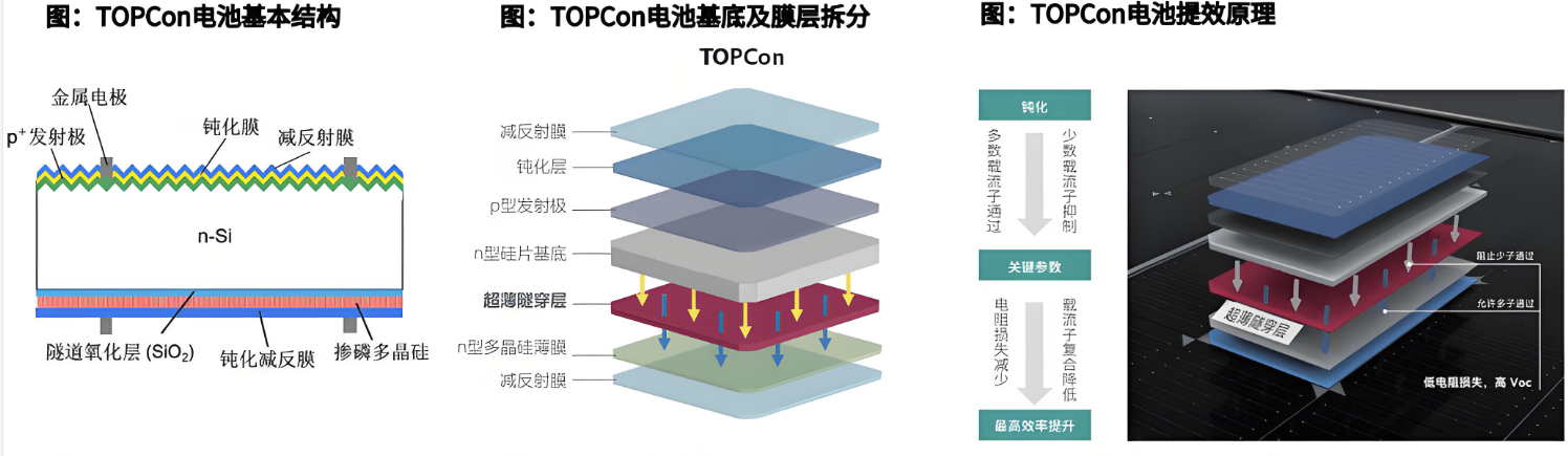 TOPCon组件为什么背面能用EVA